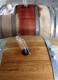 BARREL TASTING 2/21/26
